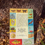zoology: a golden science guide – illustrated introduction to the animal kingdom | 450 full-color pictures