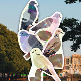 Holy triangle Pigeon Sticker