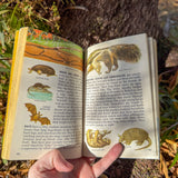 zoology: a golden science guide – illustrated introduction to the animal kingdom | 450 full-color pictures