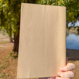desert awareness pamphlet – informative desert nature guide for hikers, bikers & bird watchers