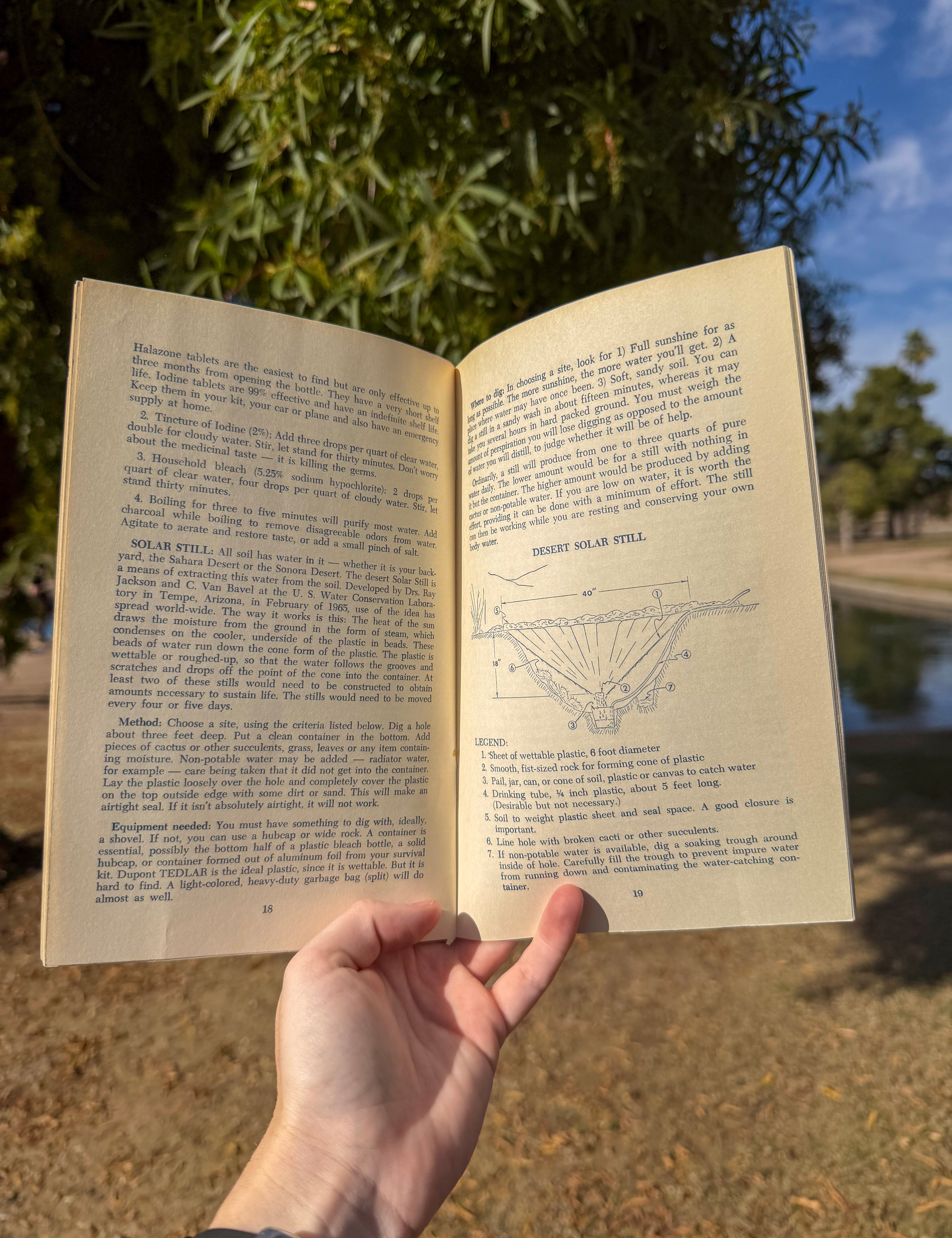 desert awareness pamphlet – informative desert nature guide for hikers, bikers & bird watchers