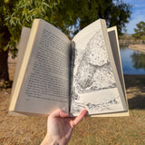 brighty of the grand canyon – true story of a wild burro | classic grand canyon adventure book for kids & adults