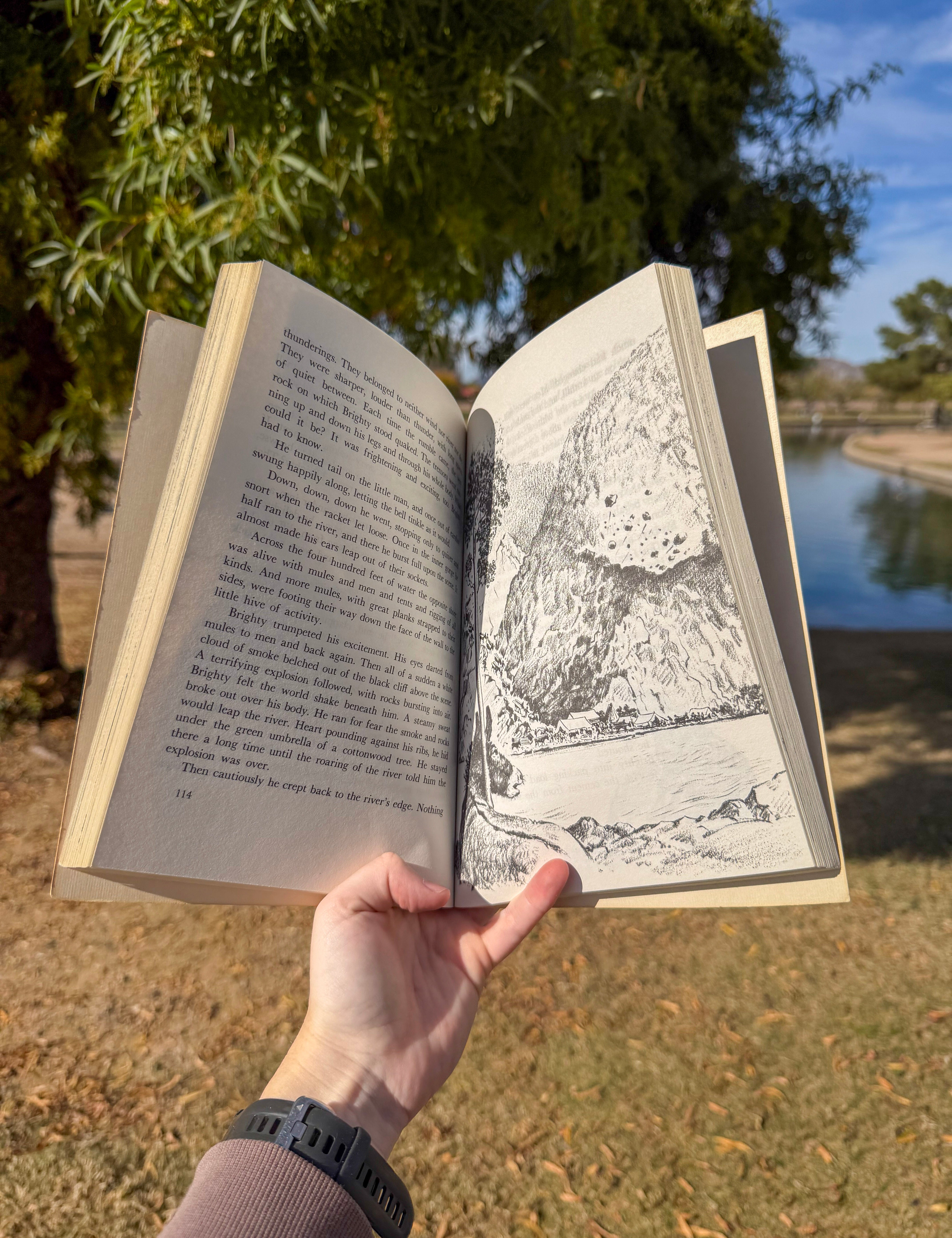 brighty of the grand canyon – true story of a wild burro | classic grand canyon adventure book for kids & adults