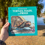 turtles, toads & frogs: a golden junior guide – children's nature field guide to reptiles & amphibians | ages 4-8