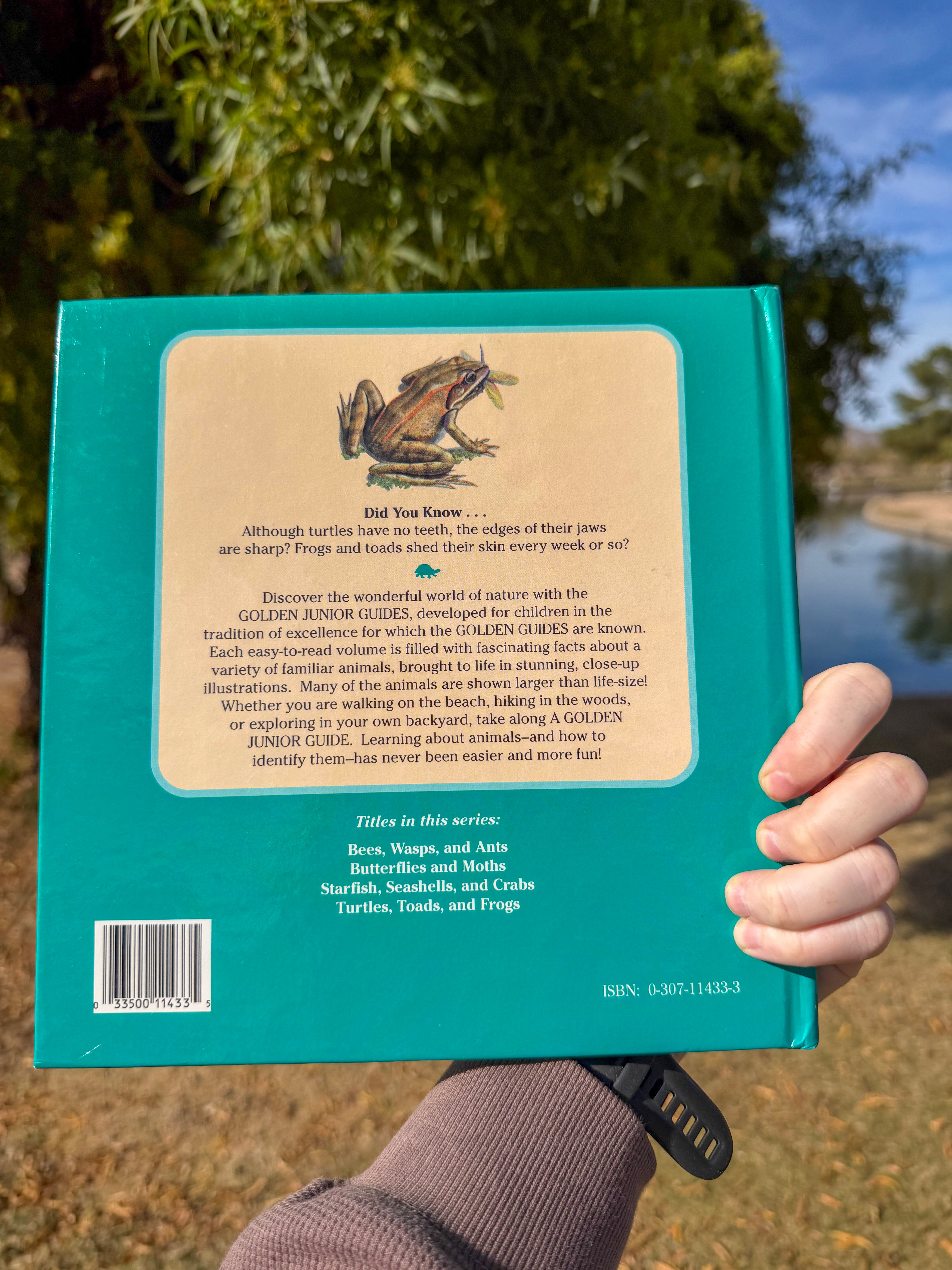 Slide image