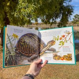 turtles, toads & frogs: a golden junior guide – children's nature field guide to reptiles & amphibians | ages 4-8