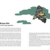 Rare Air: Endangered Birds, Bats, Butterflies & Bees