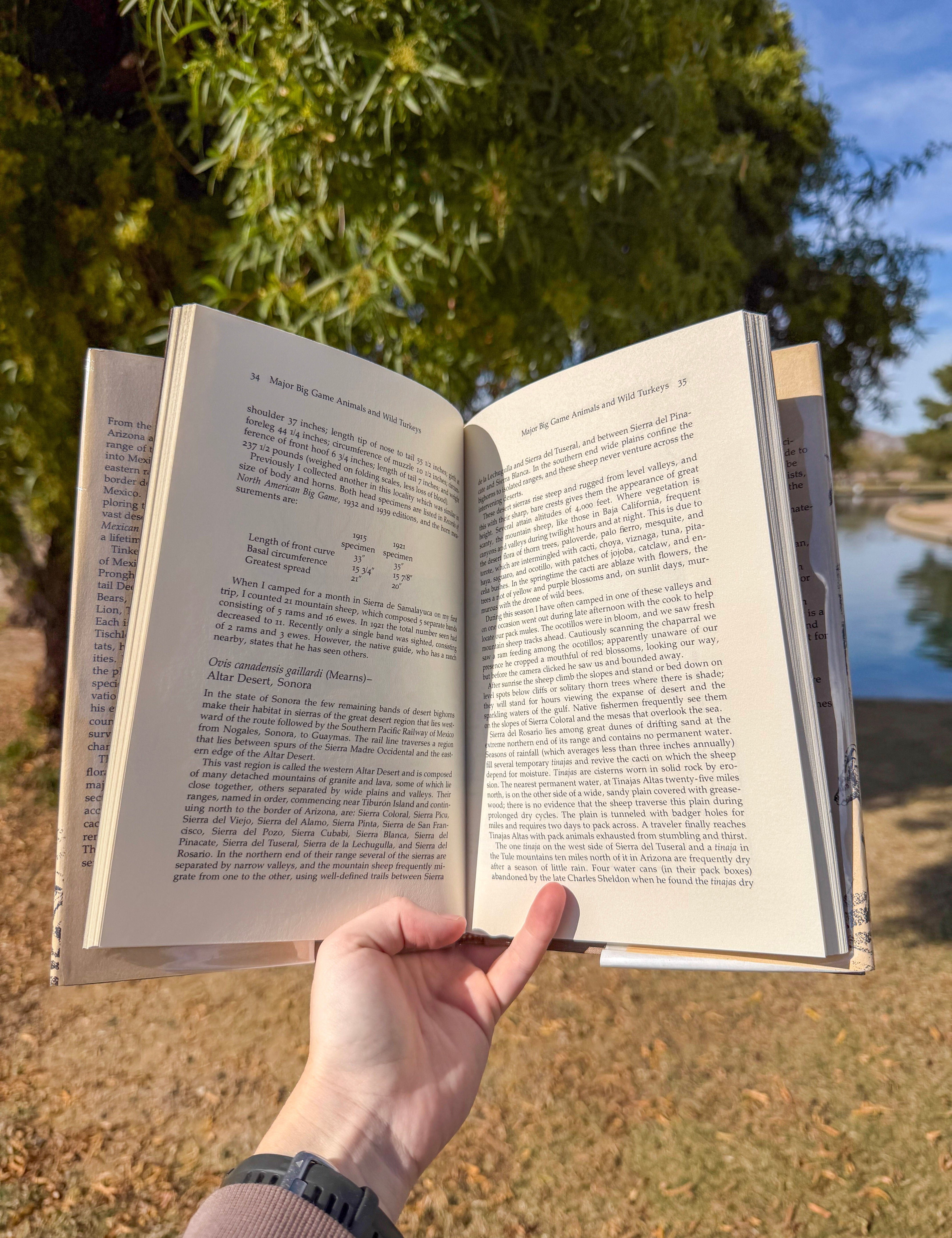 explore mexico's remote wilderness & wildlife with ben tinker's classic guide. covers big game, predators & desert ecology across sonora, baja california & the sierra madre — ideal for naturalists & conservationists.