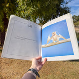 stellaluna by janell cannon – award-winning children's picture book about bats | classic nature story for kids ages 4-8