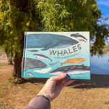 whales: an illustrated celebration – full-color guide to whales, dolphins & porpoises | cetacean biology, mythology & conservation