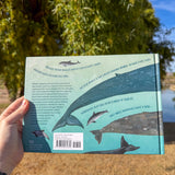 whales: an illustrated celebration – full-color guide to whales, dolphins & porpoises | cetacean biology, mythology & conservation
