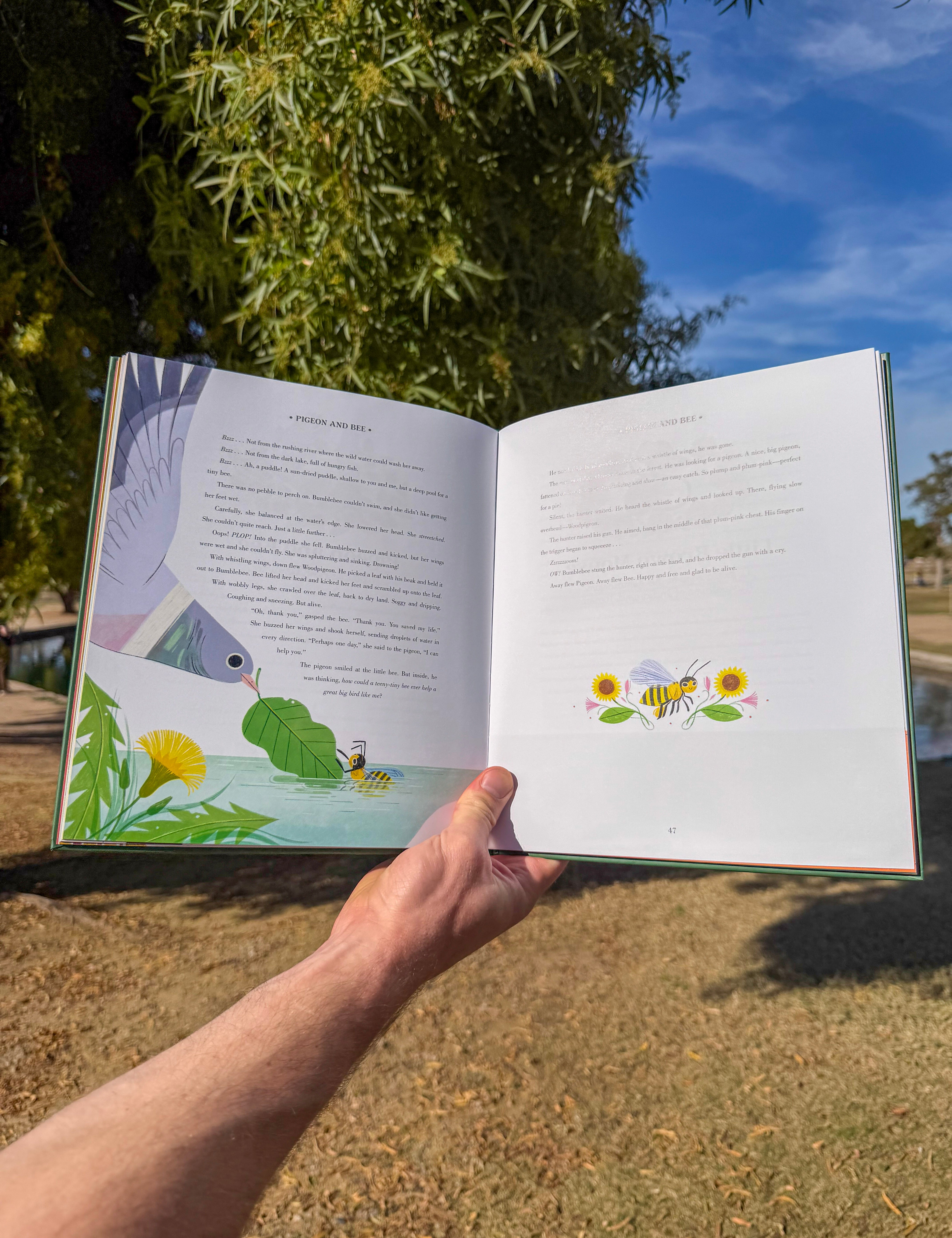 magical nature tales | illustrated world folklore & nature stories for children | 19 tales from mexico, japan, india & more