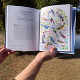 the illuminated book of birds | award-winning fine art bird book | global birding guide & gift for bird lovers
