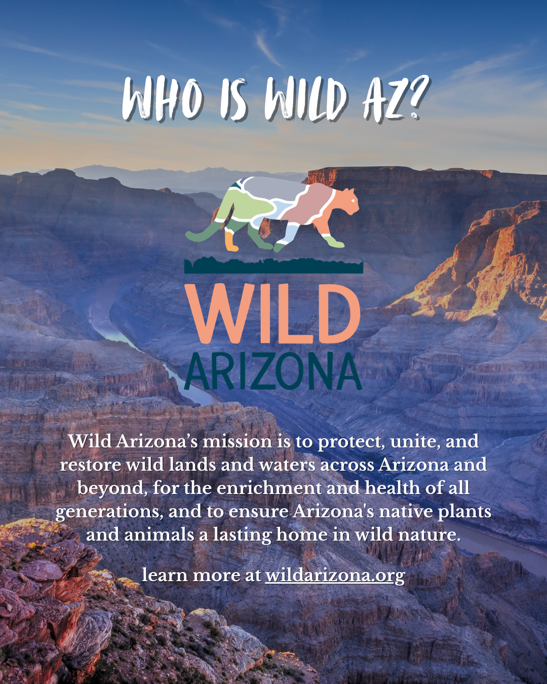 walk in the park: a grand canyon hiking adventure by kevin fedarko & pete mcbride