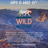 walk in the park: a grand canyon hiking adventure by kevin fedarko & pete mcbride