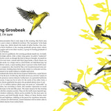 Rare Air: Endangered Birds, Bats, Butterflies & Bees