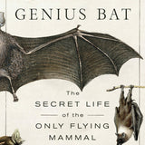 Genius Bat The Secret Life Of The Only Flying Mammal