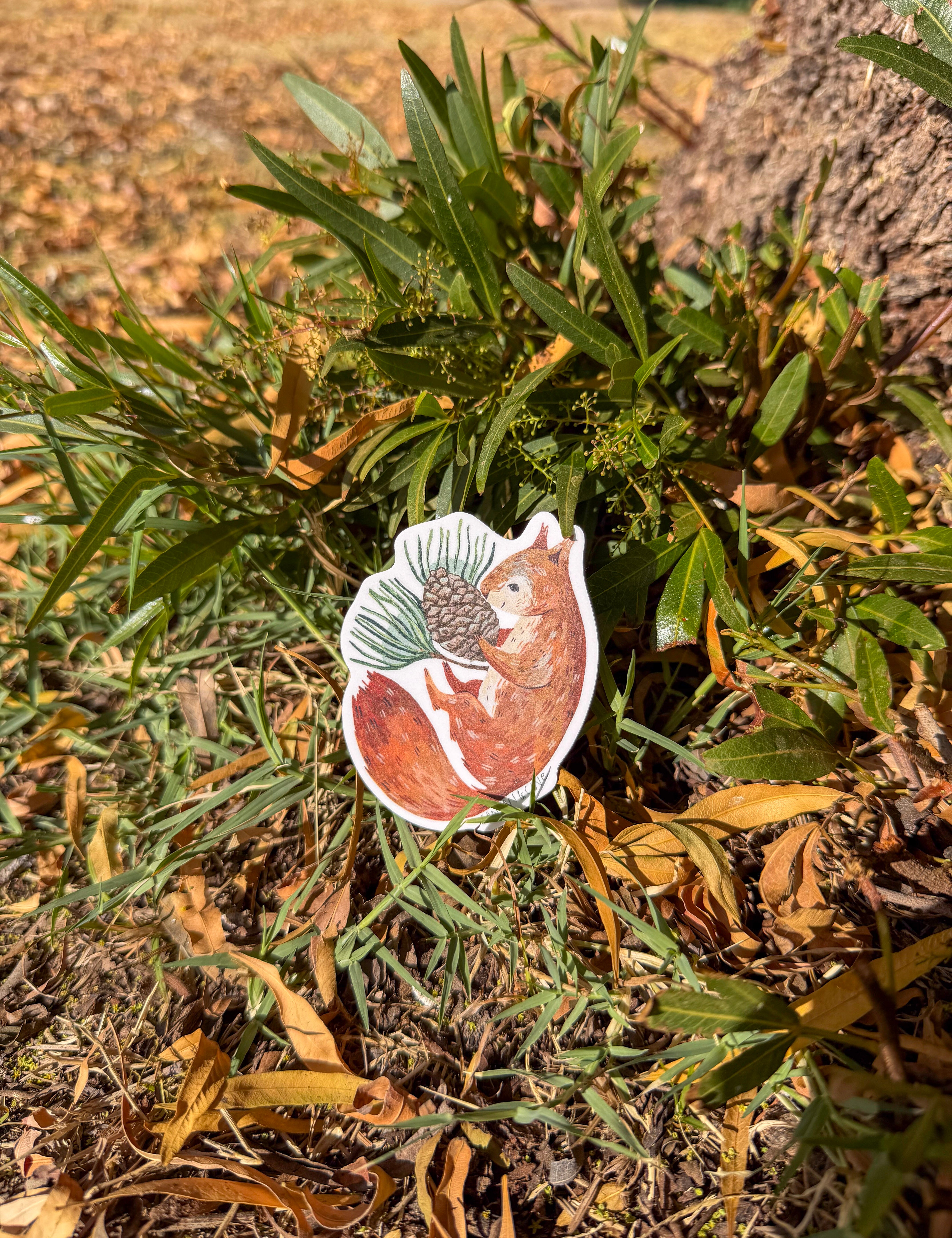 squirrel & pine sticker