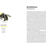 Rare Air: Endangered Birds, Bats, Butterflies & Bees