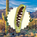 Cactus Wren Feather Bookmark