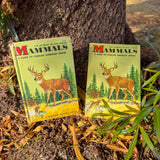 mammals: a guide to familiar american species | 200+ north american mammals with color illustrations & range maps