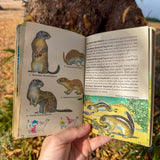 mammals: a guide to familiar american species | 200+ north american mammals with color illustrations & range maps