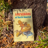 amphibians of north america: a golden guide – field identification guide with range maps & color illustrations