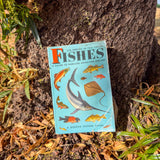 fishes: a golden guide | north american fish field guide with color illustrations & species descriptions