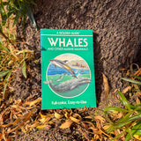whales: a golden guide | full-color marine mammal handbook for nature lovers & wildlife enthusiasts
