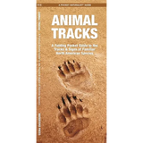 Animal Tracks: A Folding Pocket Guide to the Tracks & Signs of Familiar North American Species
