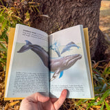 whales: a golden guide | full-color marine mammal handbook for nature lovers & wildlife enthusiasts
