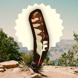 Burrowing Owl Feather Bookmark