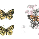 Rare Air: Endangered Birds, Bats, Butterflies & Bees
