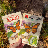 butterflies & moths: a golden guide | illustrated north american butterfly & moth identification handbook