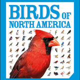 birds of north america pocket genius guide