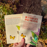 butterflies & moths: a golden guide | illustrated north american butterfly & moth identification handbook