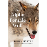 The Alpha Female Wolf: The Fierce Legacy of Yellowstone's 06