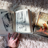 pax: a children's book set about family and foxes