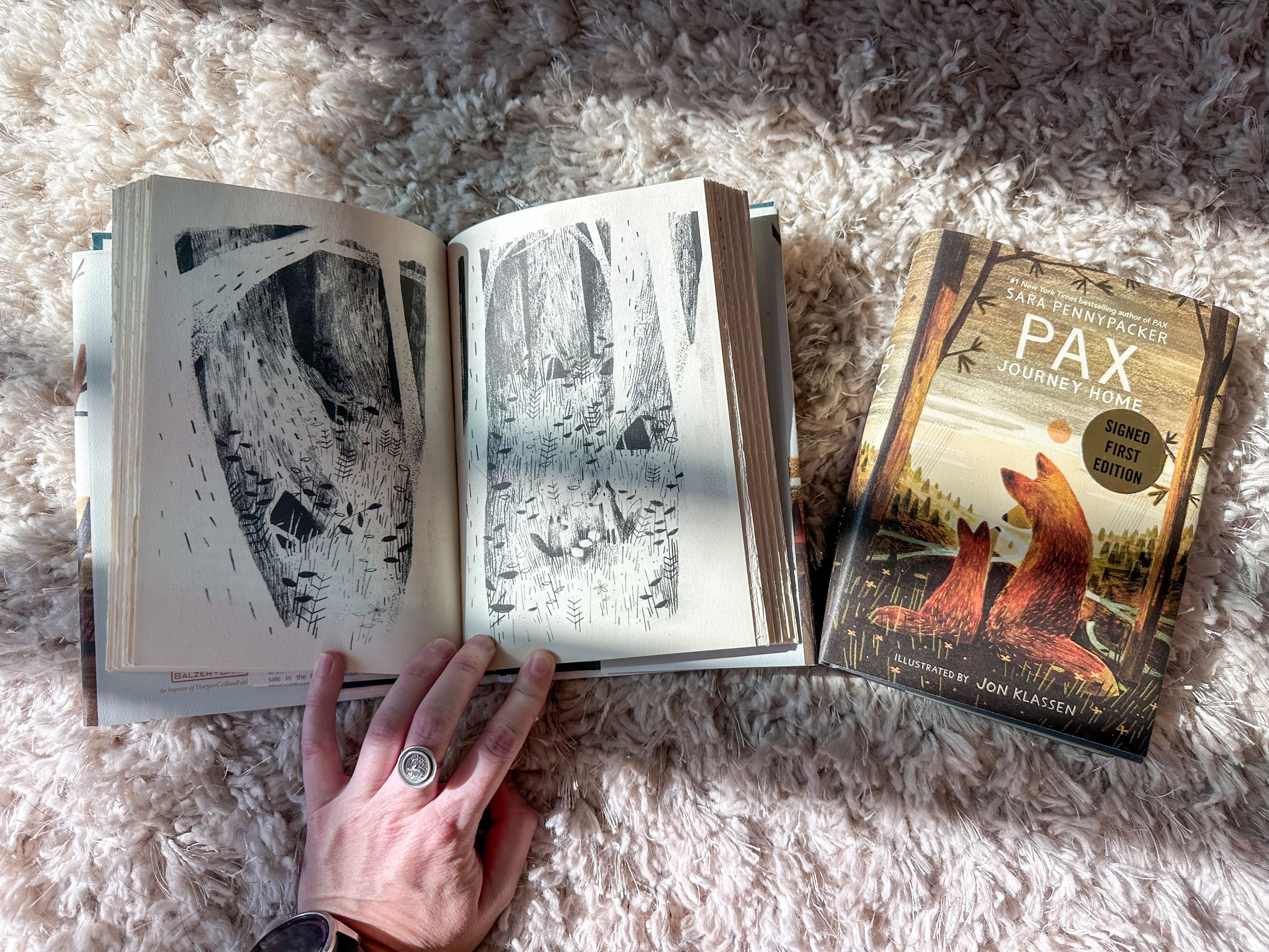 pax: a children's book set about family and foxes