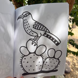 desert kids coloring book