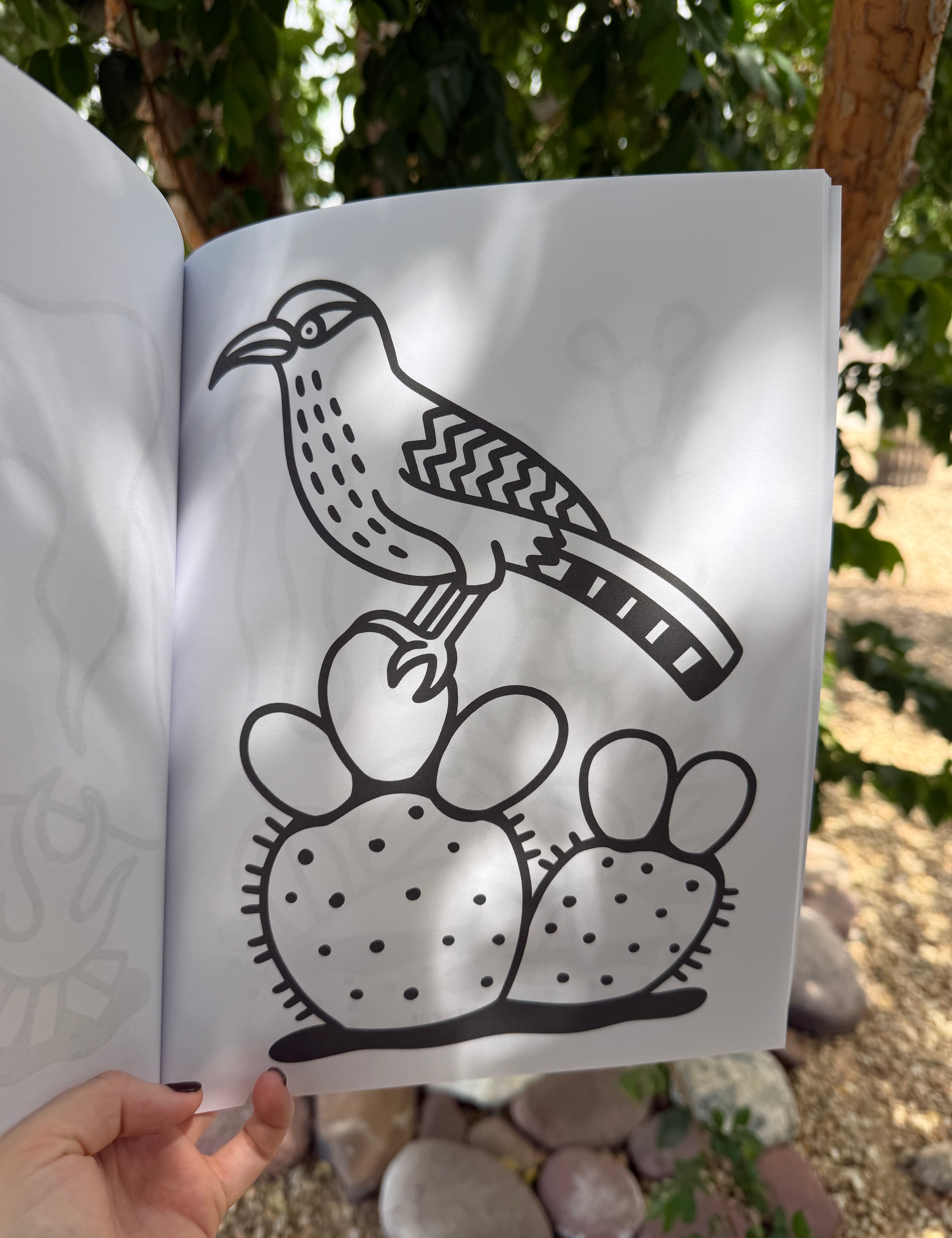 desert kids coloring book