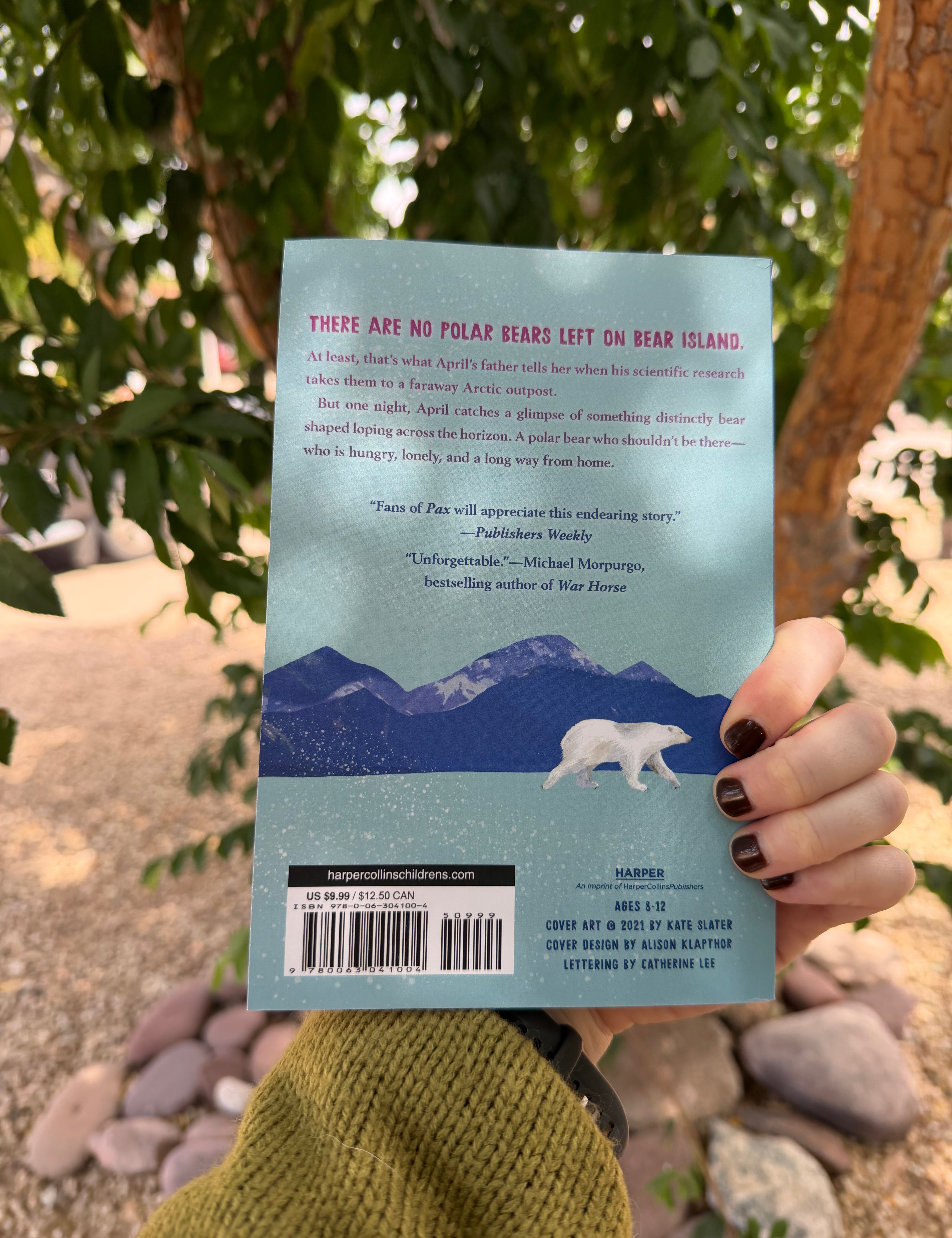 the last bear by hannah gold – award-winning children's climate change book | ages 8+