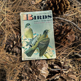 birds, a guide to the most familiar american birds: a golden guide