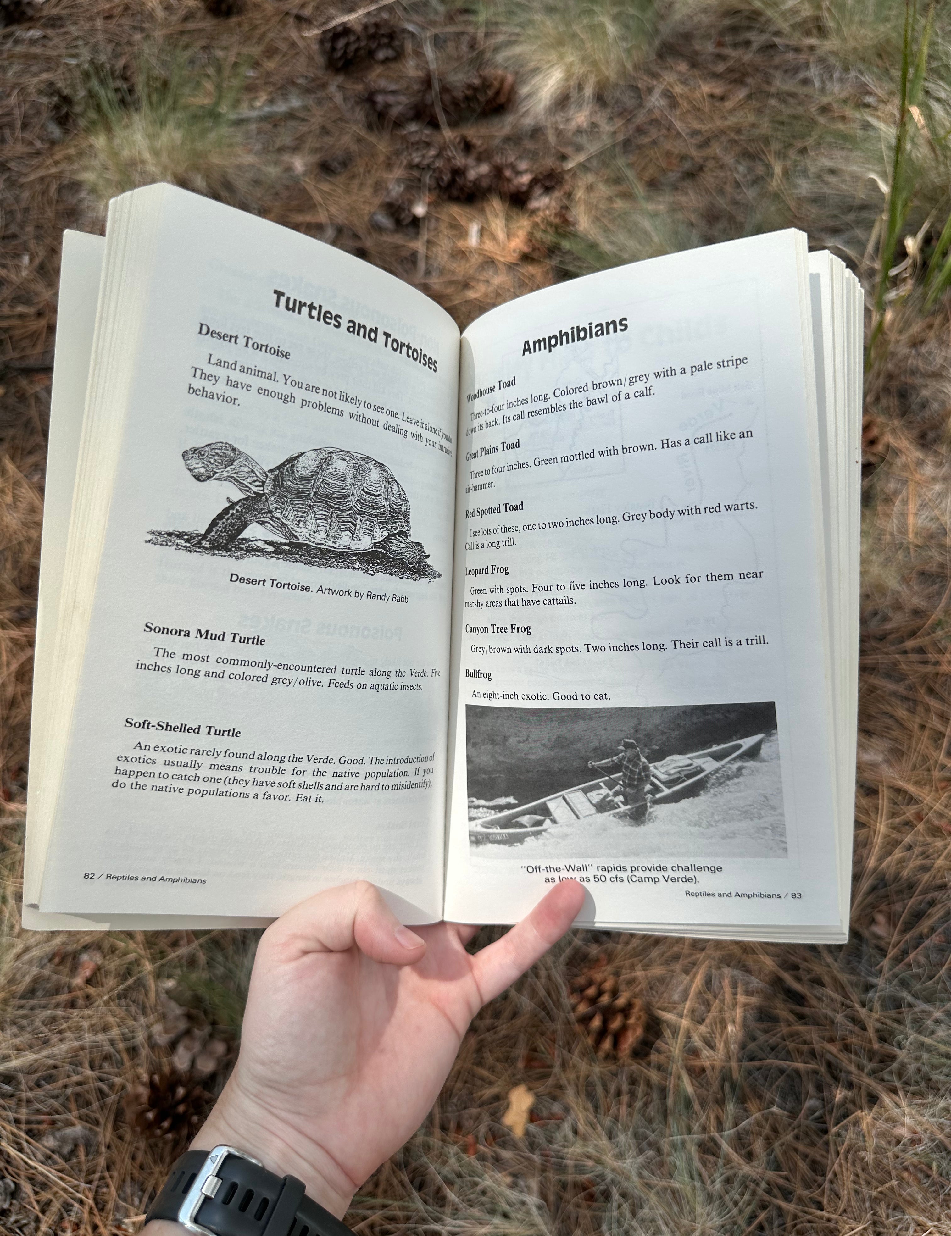 verde river recreation guide by jim slingluff