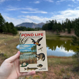 pond life: a golden guide