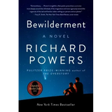 Bewilderment