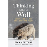 Thinking Like a Wolf: Lessons from the Yellowstone Packs