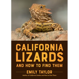California Lizards and How to Find Them