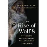The Rise of Wolf 8: Witnessing the Triumph of Yellowstone's Underdog