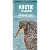 Arctic Wildlife: A Folding Pocket Guide to Familiar Animals & Plants of the Arctic & Subarctic Regions